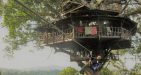 Laos-Tree-house-2
