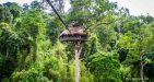 Laos-Tree-house-3