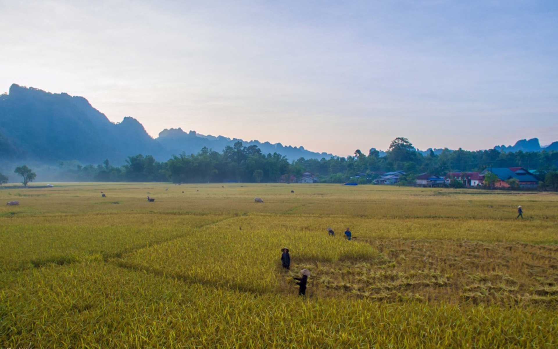 LAOS Laotravel 5 Laos Travel