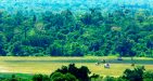 Laos-Ban-Kiet-Ngong-3