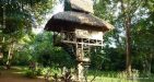 Laos-Bolaven-Plateau-8