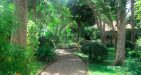 Laos-Don-Deng-1