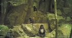Laos-Nam-Nern-Night-Safari-3