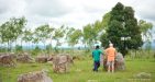 Laos-Xieng-Khouang-3