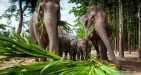 Thailand-Chiangmai-4