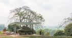 Vietnam-Dien-Bien-5