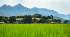 Vietnam-MaiChau-3