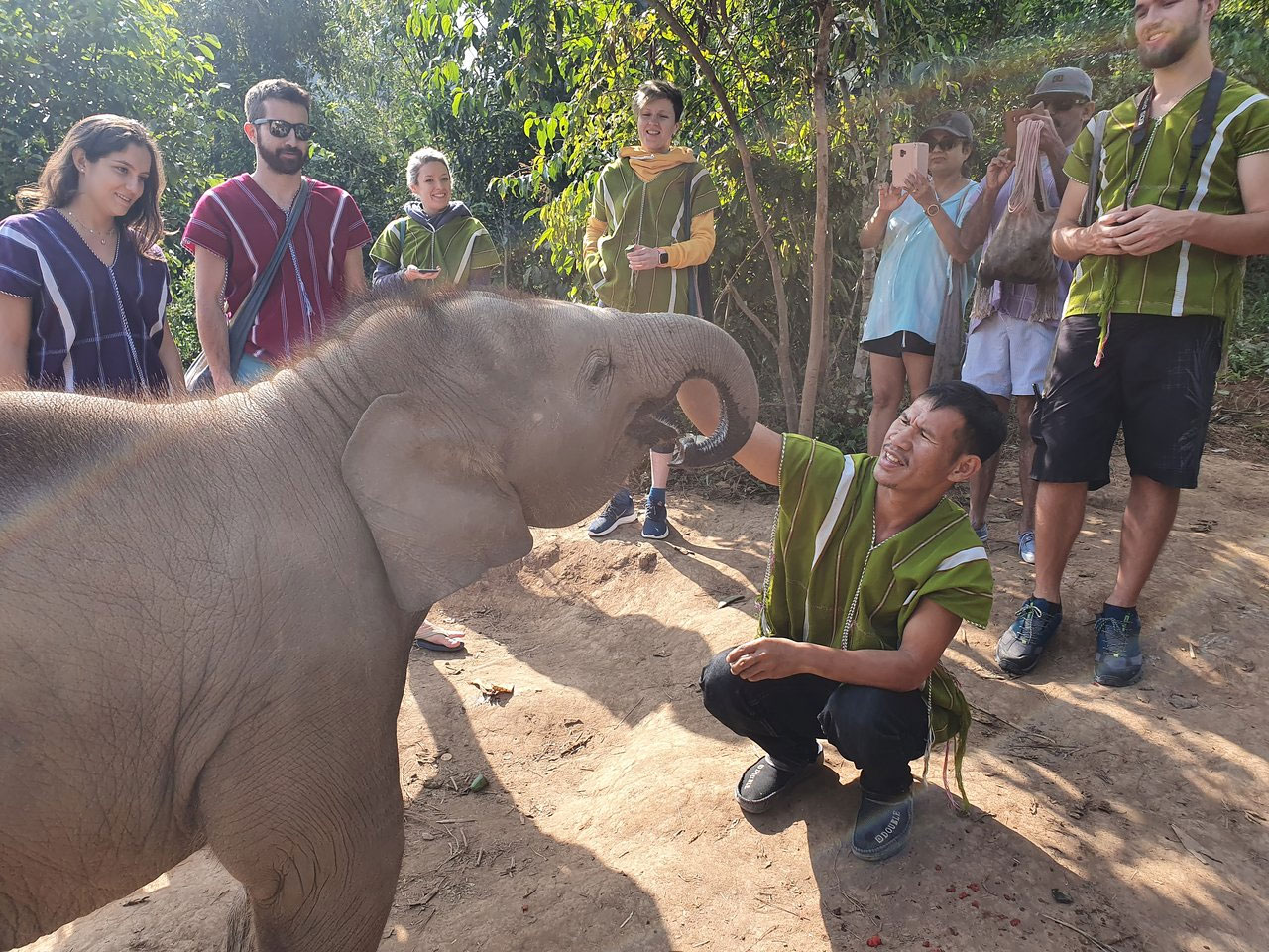 Elephant Village Sanctuary