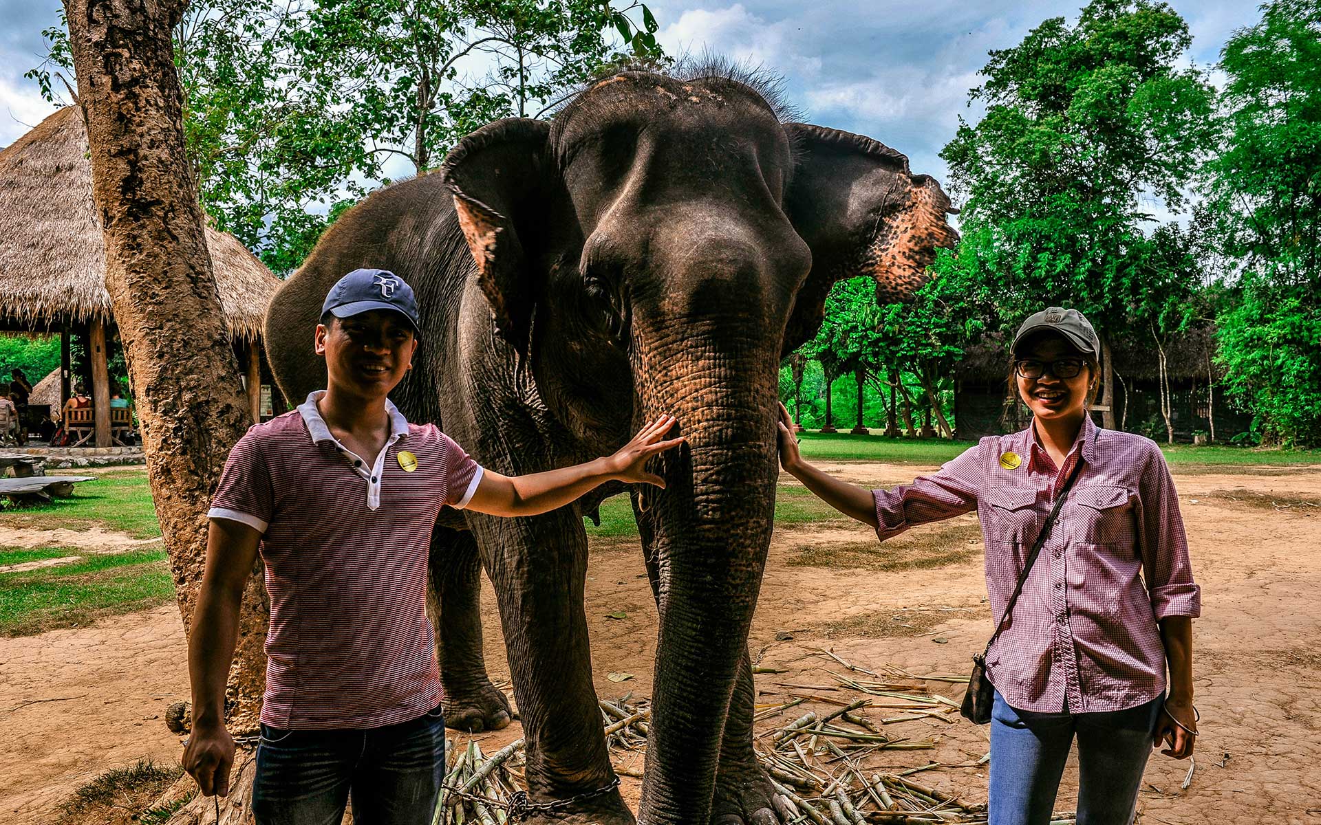 Elephant Village Sanctuary Luang Prabang