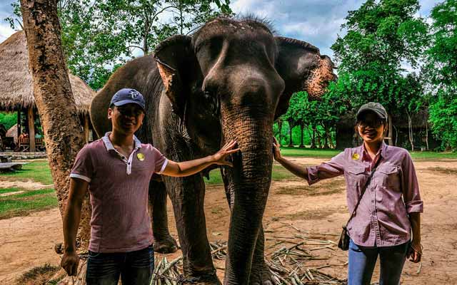 Elephant village in Luang Prabang, Laos