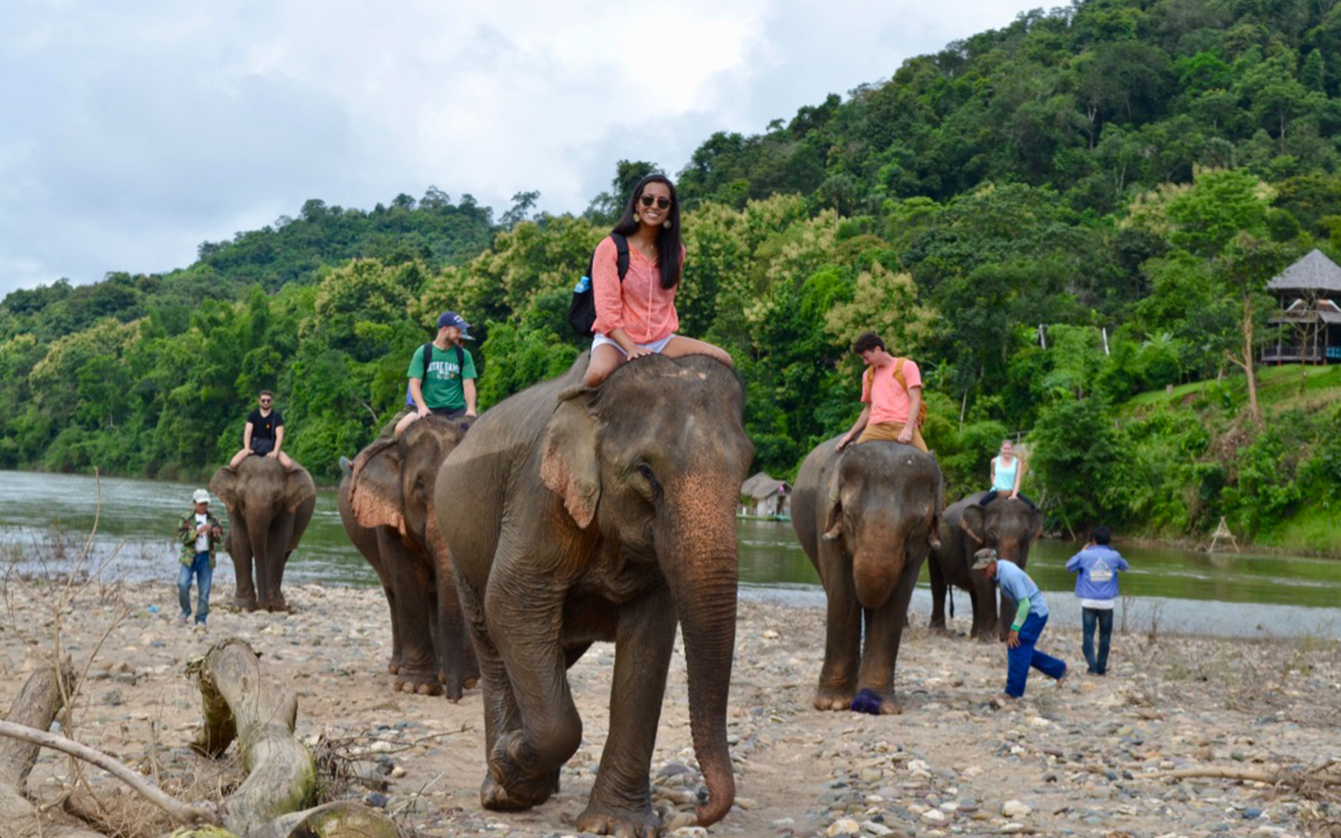 Elephant Village Sanctuary