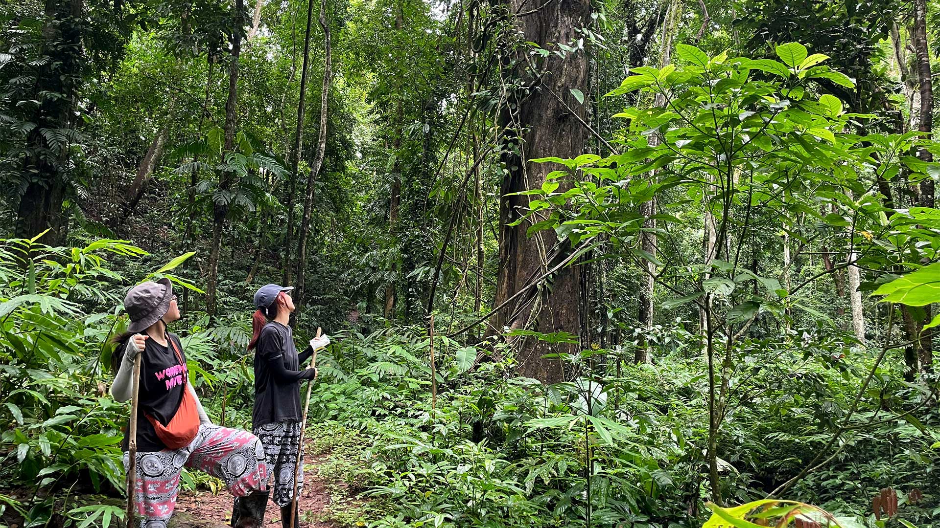 Trekking to Luang Namtha – Laos
