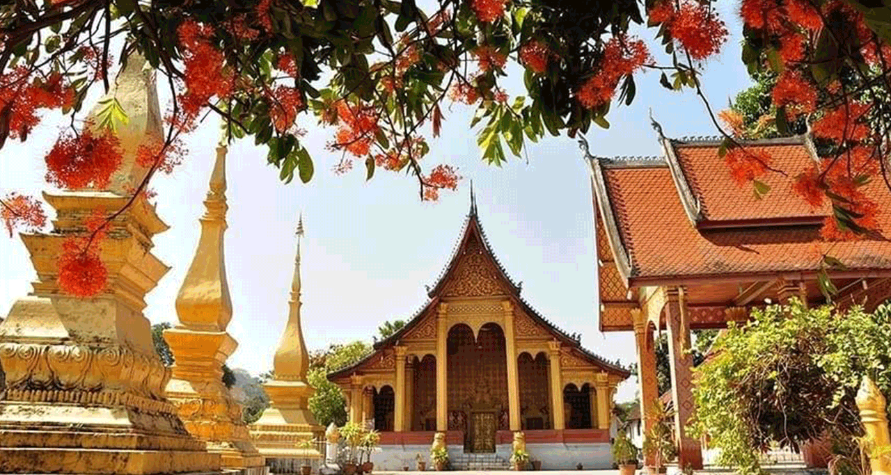 Why choose Laos Travel?